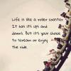 Life is like a roller coaster. It has it's ups and downs. But it's your choice...